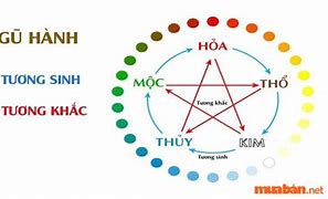 Bé Sinh Năm 2022 Hợp Màu Gì