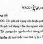 Chi Phí Sử Dụng Vốn Tiếng Anh Là Gì