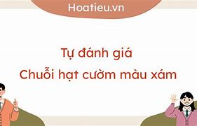 Chuỗi Hạt Cườm Màu Xám