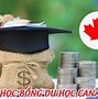 Du Học Canada Bậc Thạc Sĩ 2024 Mới Nhất