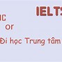 Nên Học Tesol Hay Ielts Tốt Hơn Không