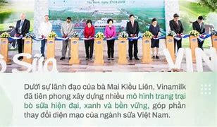 Tổng Giám Đốc Vinamilk Hiện Nay Là Ai 2024